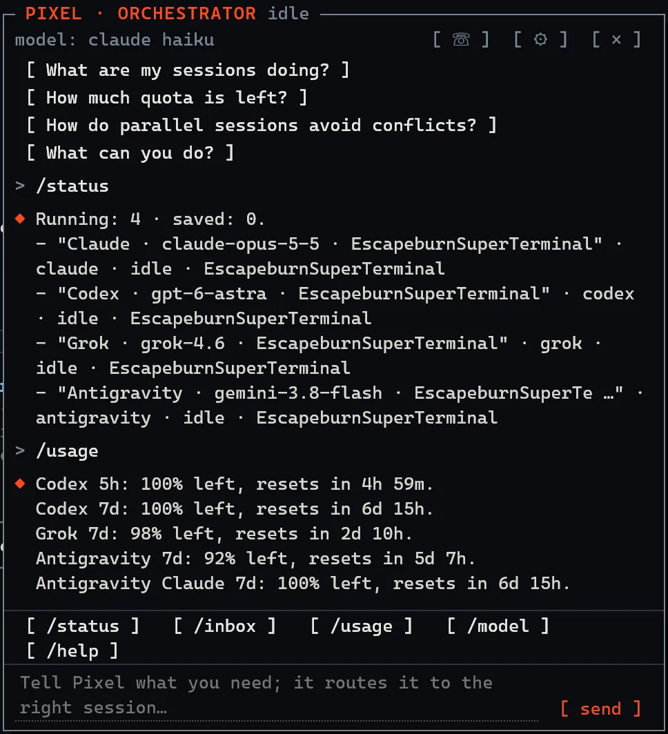 Pixel chat panel answering /status with the four running sessions and /usage with the remaining quota.