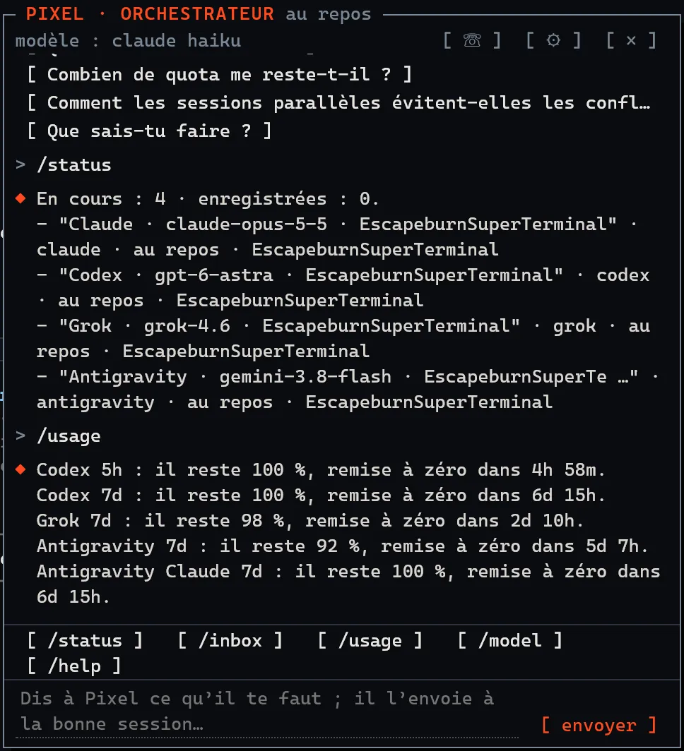 Le chat Pixel répond à /status avec les quatre sessions en cours et à /usage avec le quota restant.