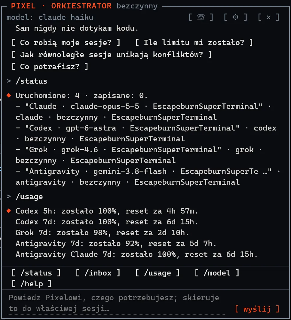 Czat Pixela odpowiada na /status czterema działającymi sesjami i na /usage pozostałym limitem.