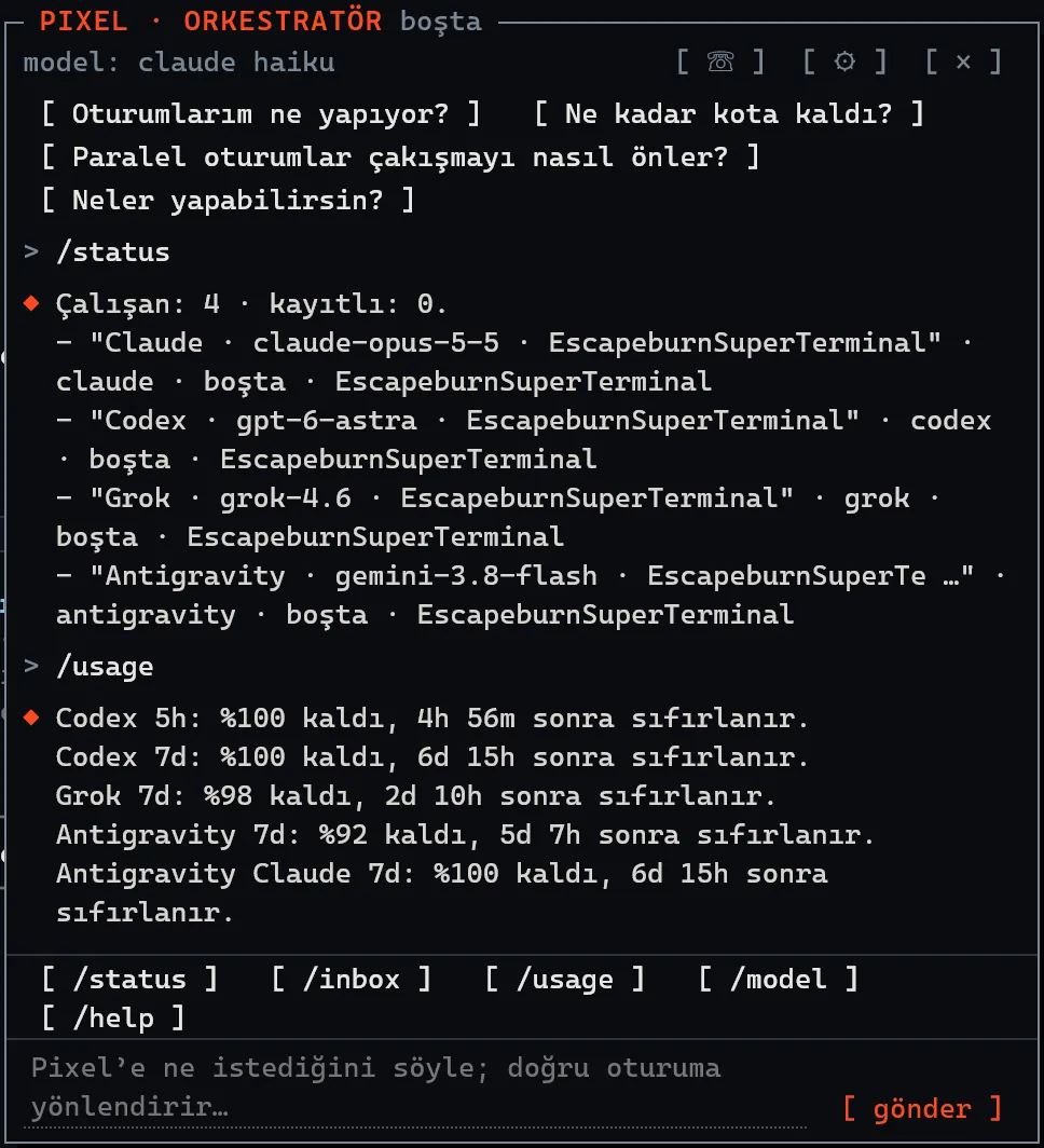 Pixel sohbeti /status'a çalışan dört oturumla, /usage'a kalan kotayla yanıt veriyor.